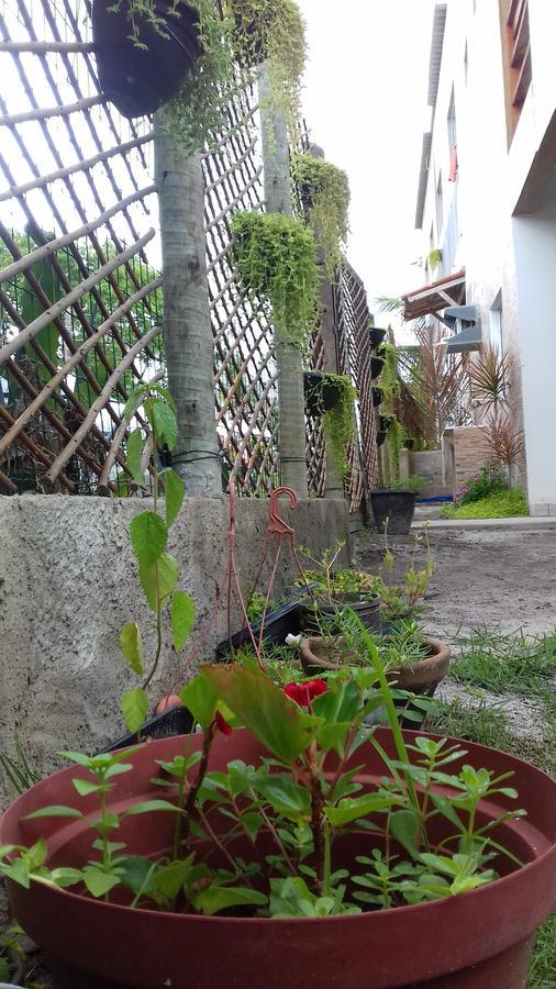 Tribo De Gaia Hostel Итаюнас Екстериор снимка